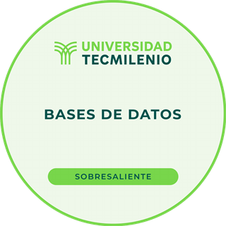 Bases de Datos — Universidad Tecmilenio